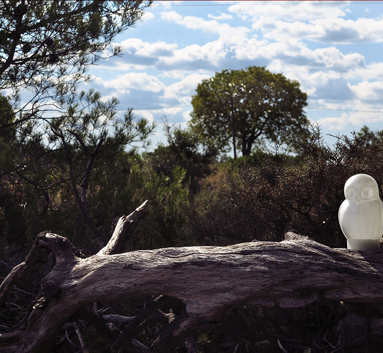 BIVOUAC